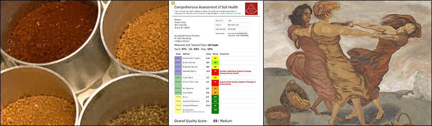 composite showing diverse soil colors, soil test report and three sisters soil paintinig